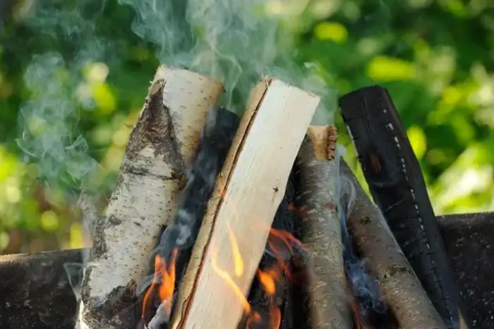 Wood Burning in Grill